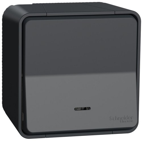 Переключатель с подсветкой накладной Schneider Electric Mureva Styl 1-кл. проходной IP55 антрацит фото Переключатель с подсветкой накладной Schneider Electric Mureva Styl 1-кл. проходной IP55 антрацит картинка